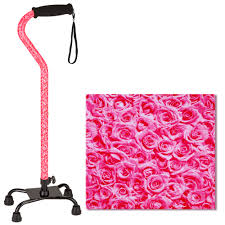 CANE OFFSET ROSES