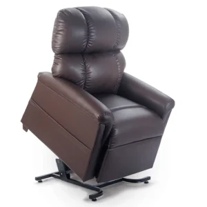 Golden 2 Zone Chair Comforter