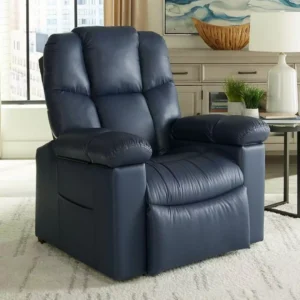 Golden 4 Zone Chair Regal